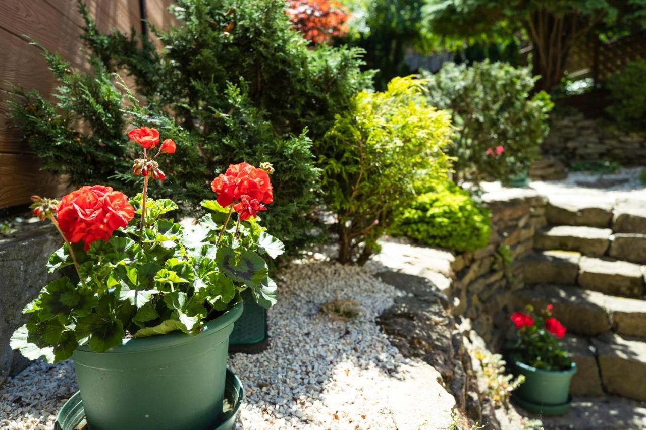 Cecey Vendeghaz Bed & Breakfast Eger Exterior photo